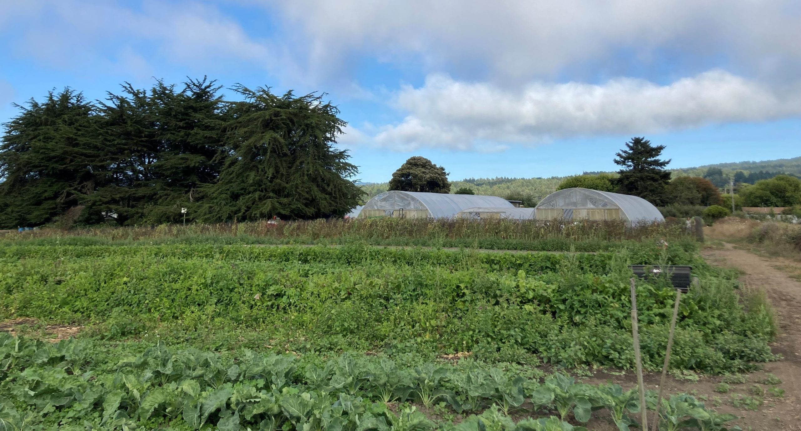 Photo of Deep Seeded Farm