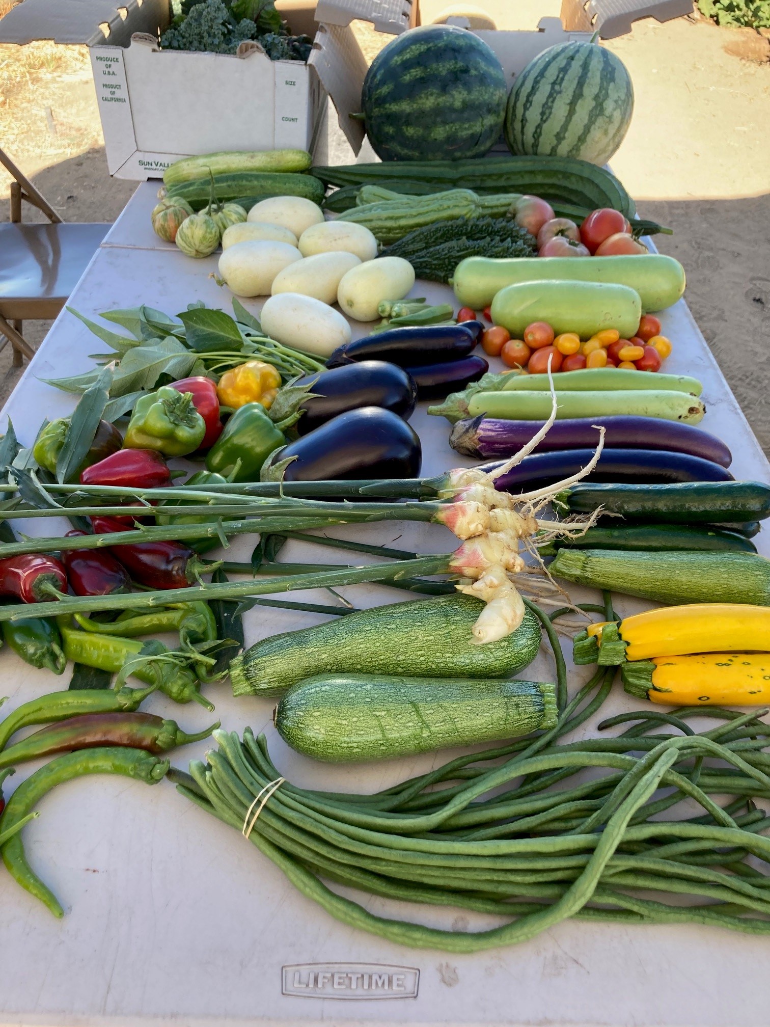 Photo of produce from Dream Farm