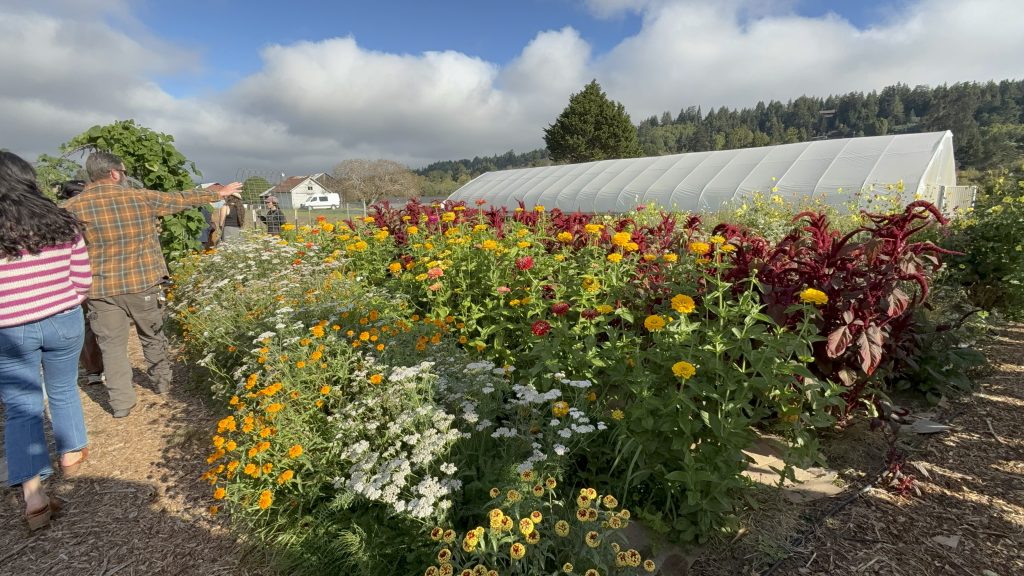 A photo of a Tribe's farm