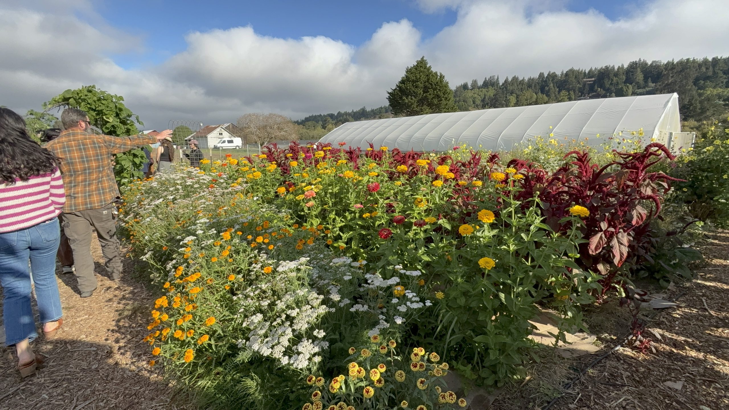 A photo of a Tribe's farm