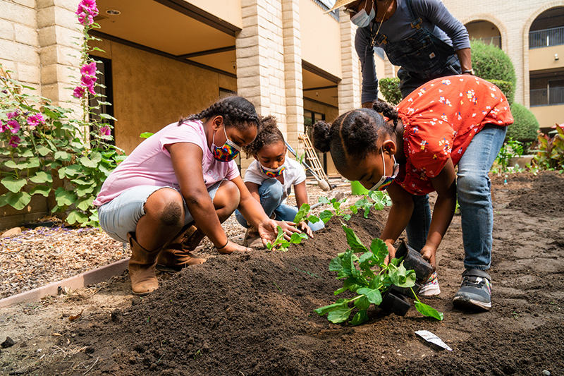 Group of children planting in a garden