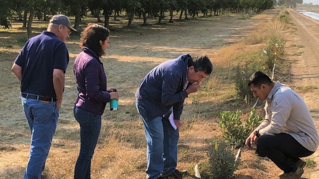 A group of people standing in a plot of farm land.