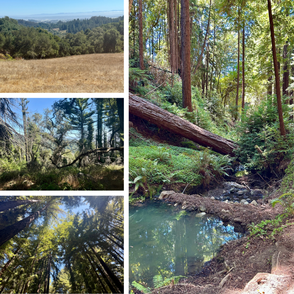 Four photos of landscapes at Estrada Ranch.