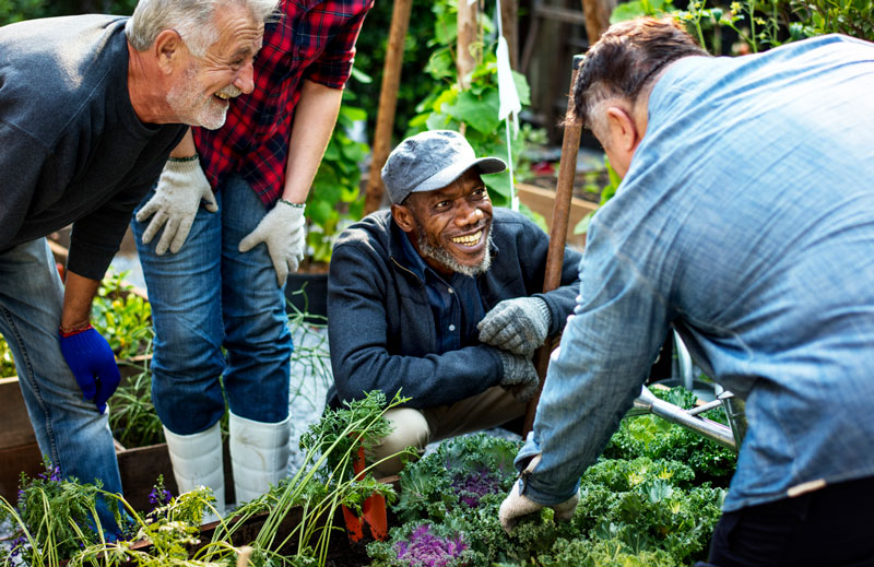 People gardening