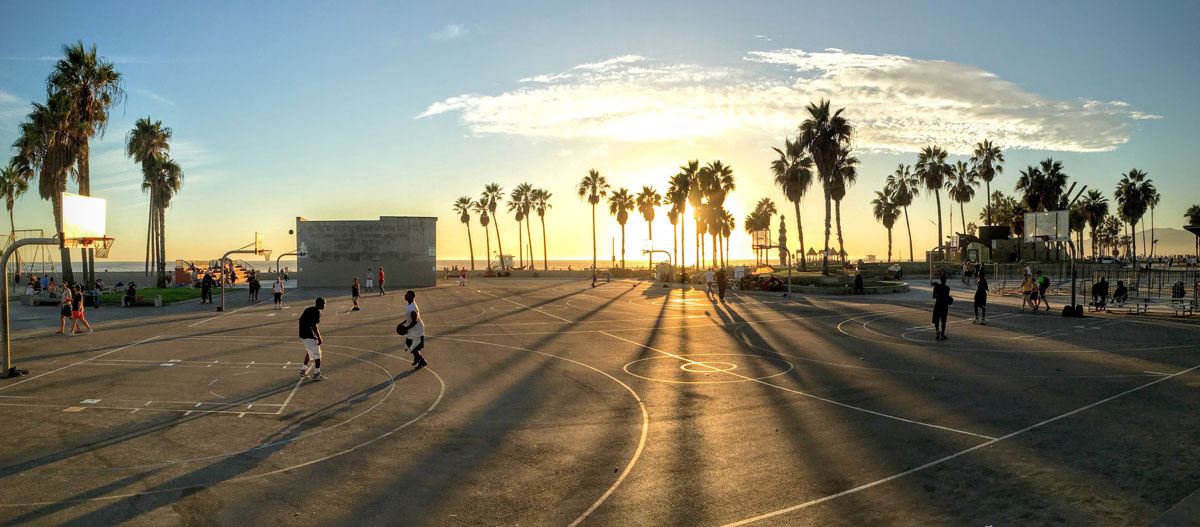 Sunset through palm trees