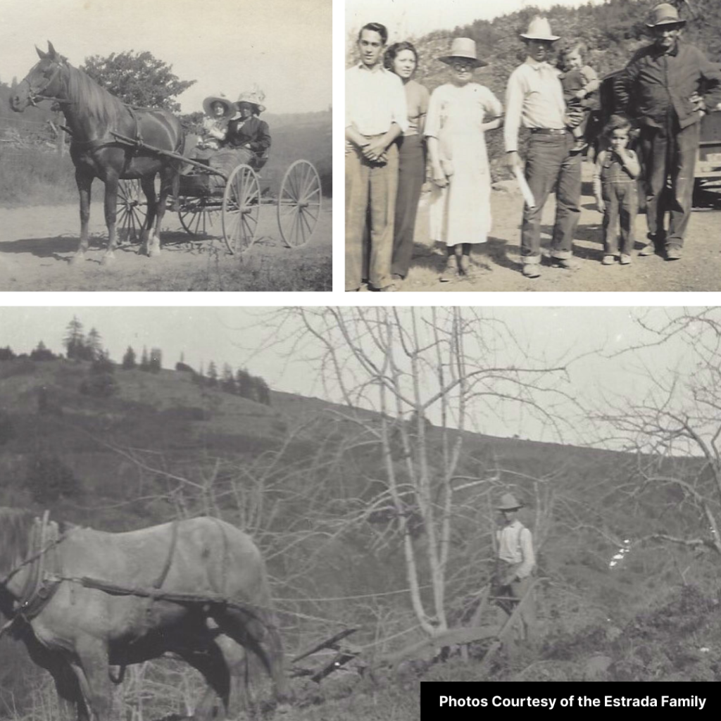 A compilation of three historical photos of the Estrada family at their ranch.
