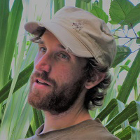 Card image size