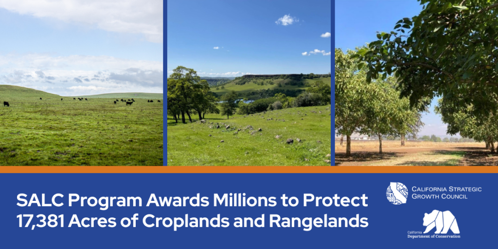 A graphic with photos from three SALC projects, that says: SALC Program Awards Millions to Protect 17,381 Acres of Croplands and Rangelands