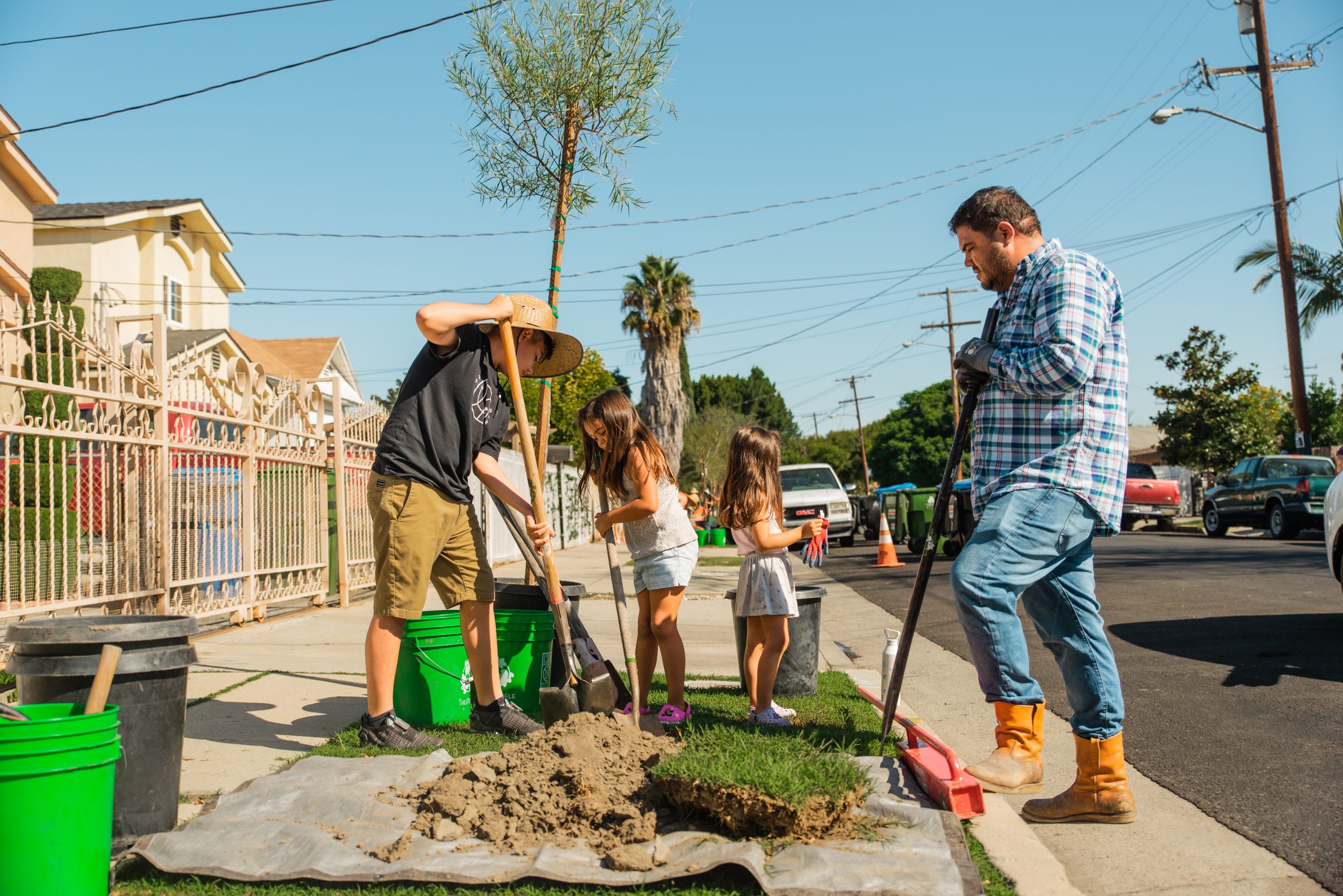 People planting trees